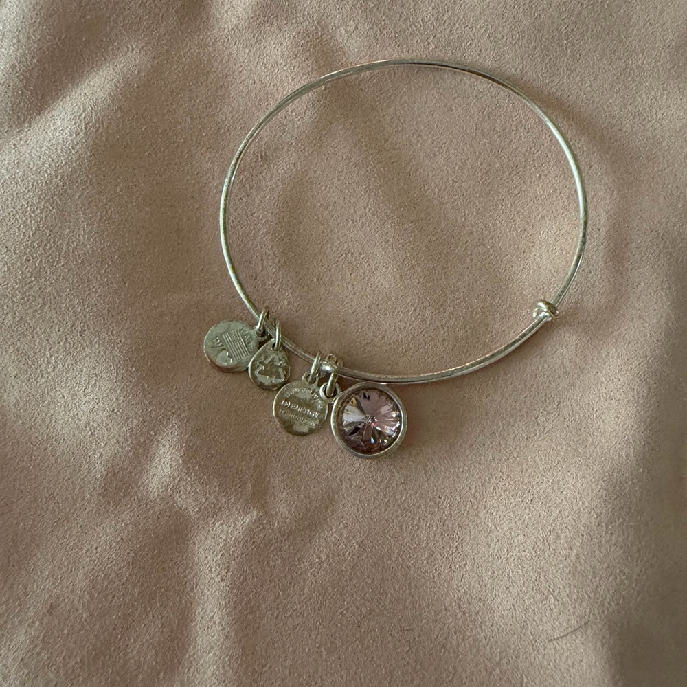 Alex and Ani Pink Charm Bracelet